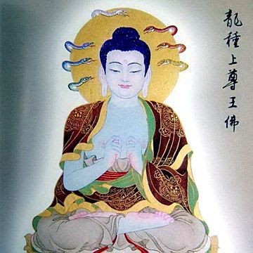 龍是什么佛的化身|龍是什么佛的化身，