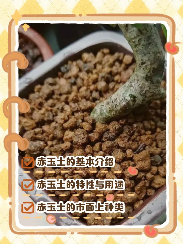 什么土可以代替赤玉土呢|向陽園藝，扦插月季不生根，黑桿用這種“神奇土”,10天生根