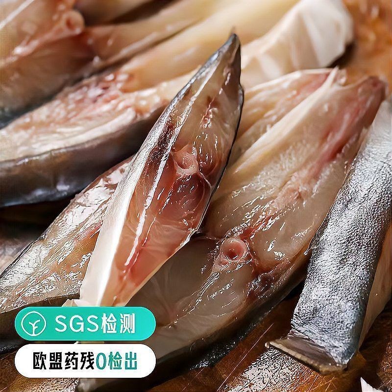 金鯧魚淡水魚還是海魚|金鯧魚、淡水白鯧魚、淡水白鯧