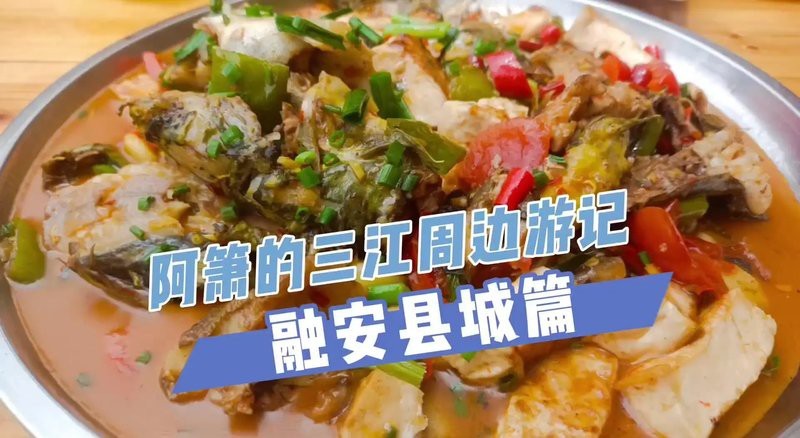 融安龍魚店|廣州融安龍魚店
