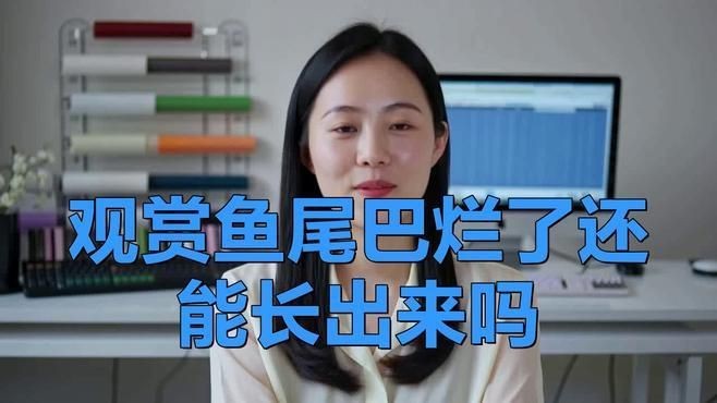 四角龍魚爛尾后還能恢復嗎？|四角龍魚爛尾后能否恢復