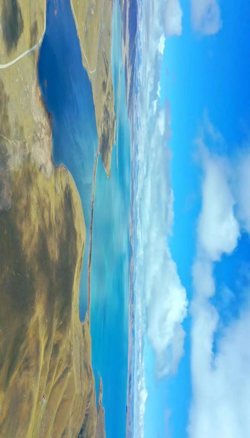 瑪多水族店|瑪多水族店開業啦
