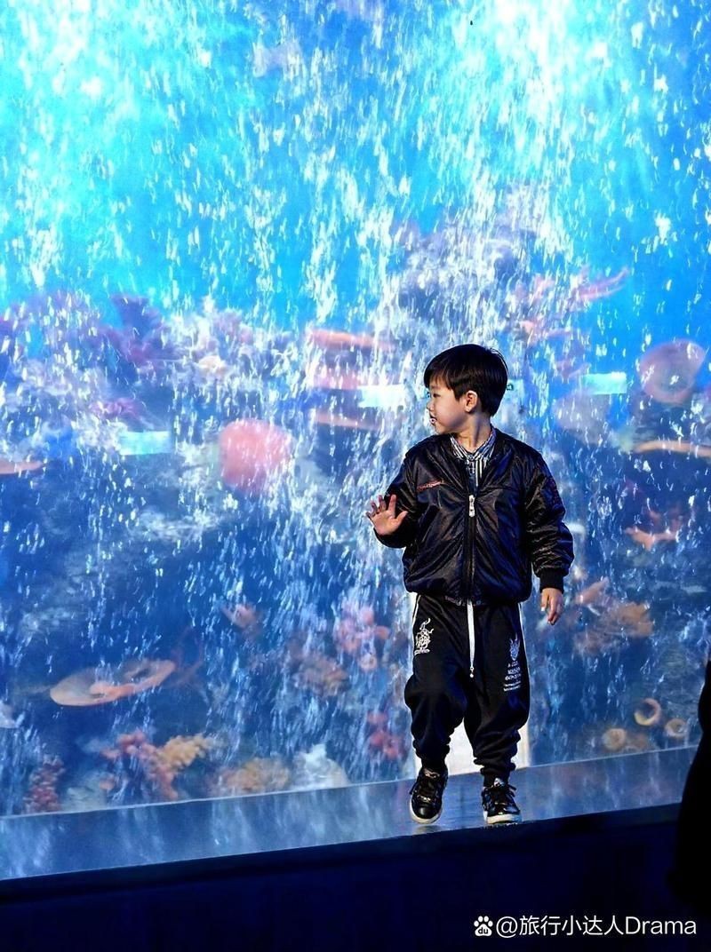 石家莊水族店|石家莊森森水族（龍橋街店）位于河北省石家莊市贊皇縣龍橋街店