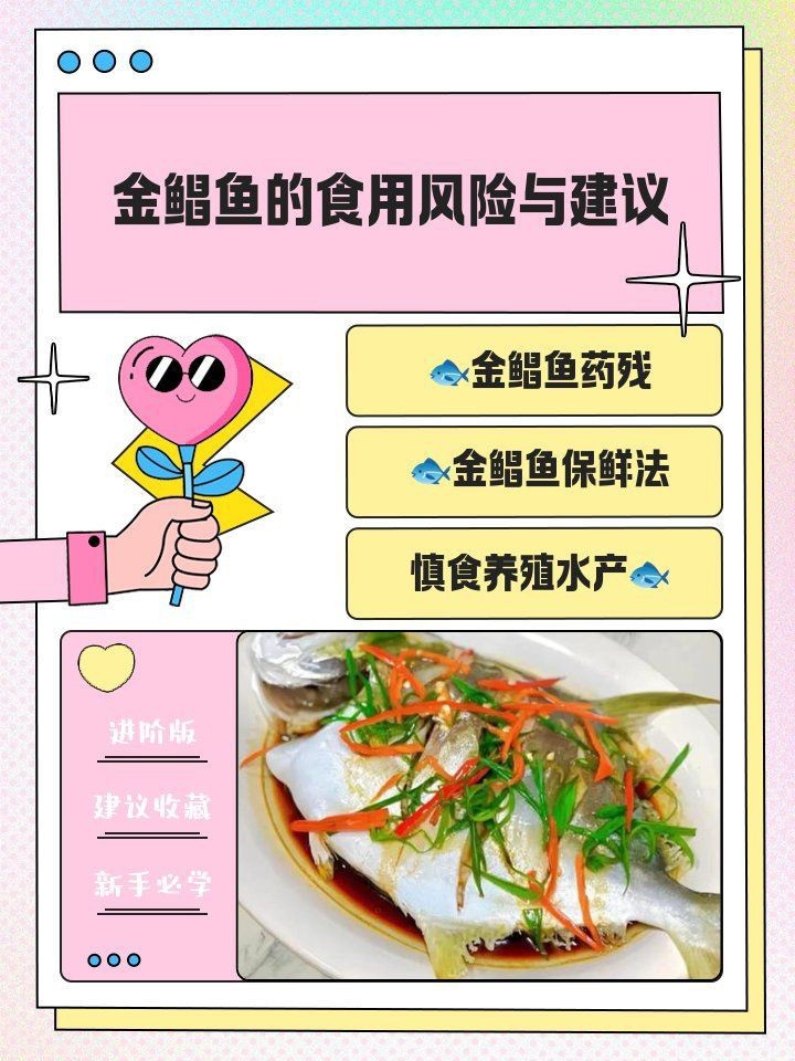 金鯧魚為何盡量少吃|金鯧魚為什么要少吃 金鯧魚為何盡量少吃|金鯧魚為什么要少吃 龍魚百科 第15張