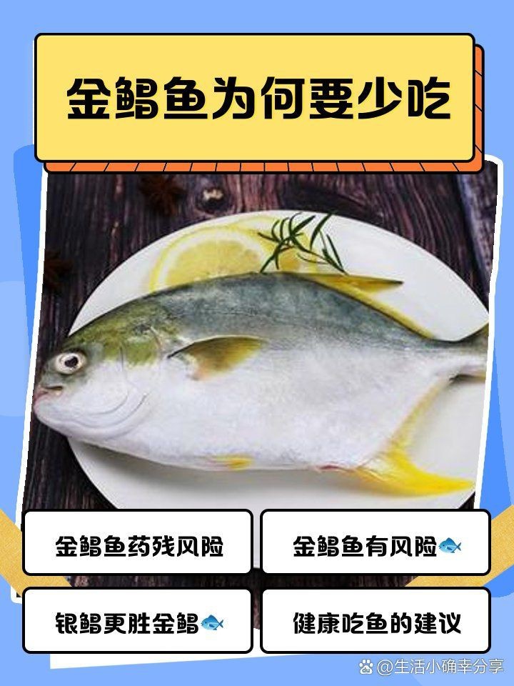 金鯧魚為何盡量少吃|金鯧魚為什么要少吃 金鯧魚為何盡量少吃|金鯧魚為什么要少吃 龍魚百科 第19張