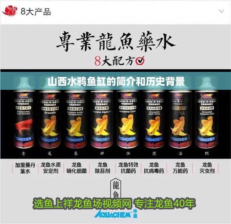 水鴉魚缸代工廠有哪些|shuiya水鴉魚缸代工廠 水鴉魚缸代工廠有哪些|shuiya水鴉魚缸代工廠\