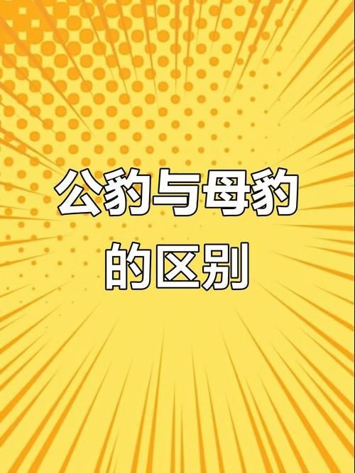 皇冠豹公母對(duì)照?qǐng)D|關(guān)于皇冠豹(panaque)的公母對(duì)照的鑒別方法 龍魚(yú)論壇 第4張 皇冠豹公母對(duì)照?qǐng)D|關(guān)于皇冠豹(panaque)的公母對(duì)照的鑒別方法 皇冠豹公母對(duì)照?qǐng)D|關(guān)于皇冠豹(panaque)的公母對(duì)照的鑒別方法 龍魚(yú)論壇 第4張