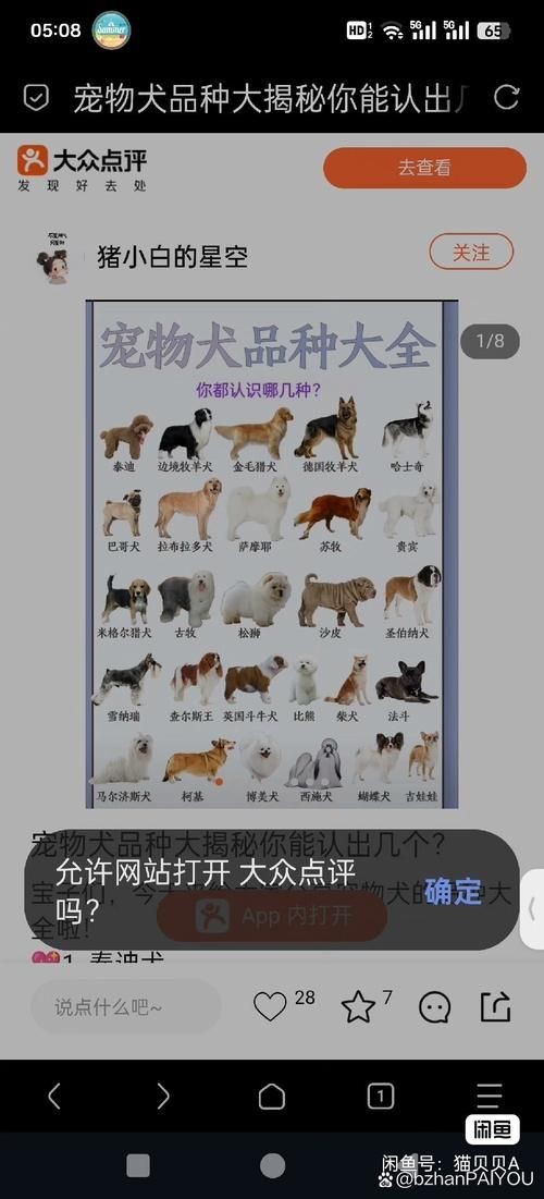 皇冠豹公母對(duì)照?qǐng)D|關(guān)于皇冠豹(panaque)的公母對(duì)照的鑒別方法 龍魚(yú)論壇 第6張 皇冠豹公母對(duì)照?qǐng)D|關(guān)于皇冠豹(panaque)的公母對(duì)照的鑒別方法 皇冠豹公母對(duì)照?qǐng)D|關(guān)于皇冠豹(panaque)的公母對(duì)照的鑒別方法 龍魚(yú)論壇 第6張