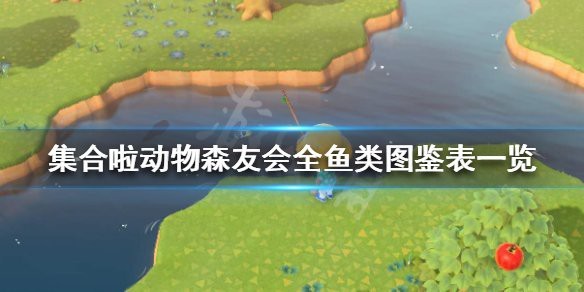 動森稀有魚類一覽表|《動物森友會》2025年8月稀有魚類及其捕獲技巧