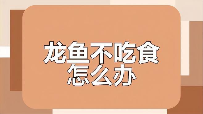 龍魚不吃食有哪些常見原因？|《龍魚不吃食常見原因摘要》龍魚拒食原因及治療方法大揭秘