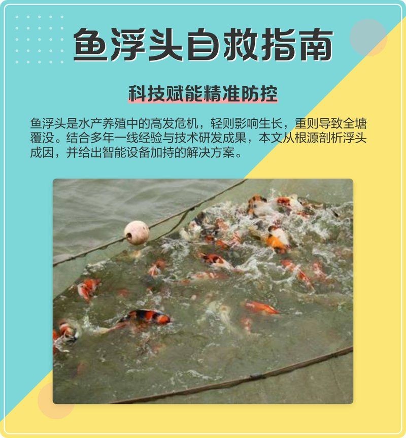 哪些藥物可能導致魚浮頭？|水產養殖中，藥物使用不當易引發魚浮頭現象