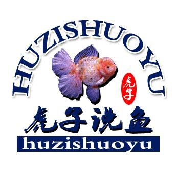 龍魚皮膚潰爛的5種癥狀|龍魚爛身病-由水質引起的龍魚疾病