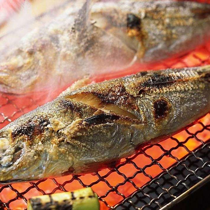 黑河龍魚店|幾家口碑好的黑河龍魚店