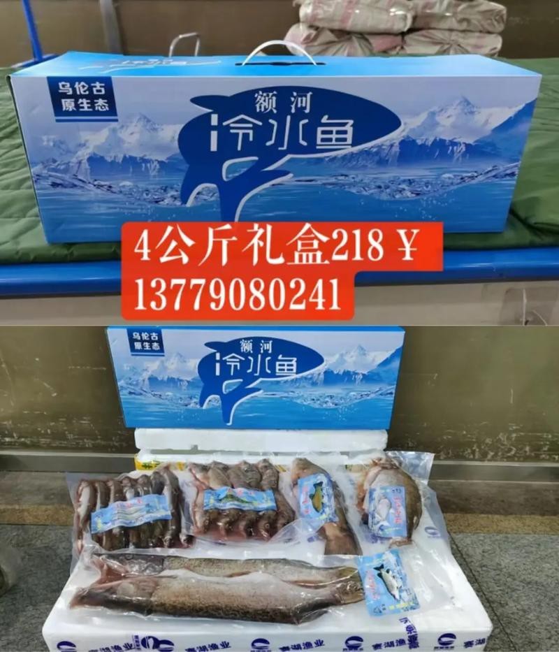 福海魚(yú)圖片及價(jià)格|新疆福海冬捕節(jié)頭魚(yú)拍賣價(jià)刷新歷史新高