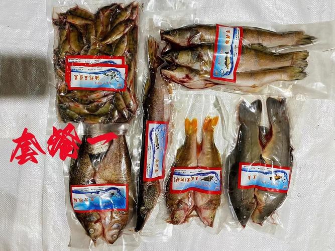 福海魚(yú)圖片及價(jià)格|新疆福海冬捕節(jié)頭魚(yú)拍賣價(jià)刷新歷史新高