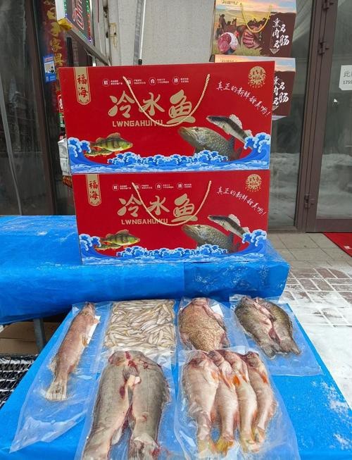 福海魚(yú)圖片及價(jià)格|新疆福海冬捕節(jié)頭魚(yú)拍賣價(jià)刷新歷史新高