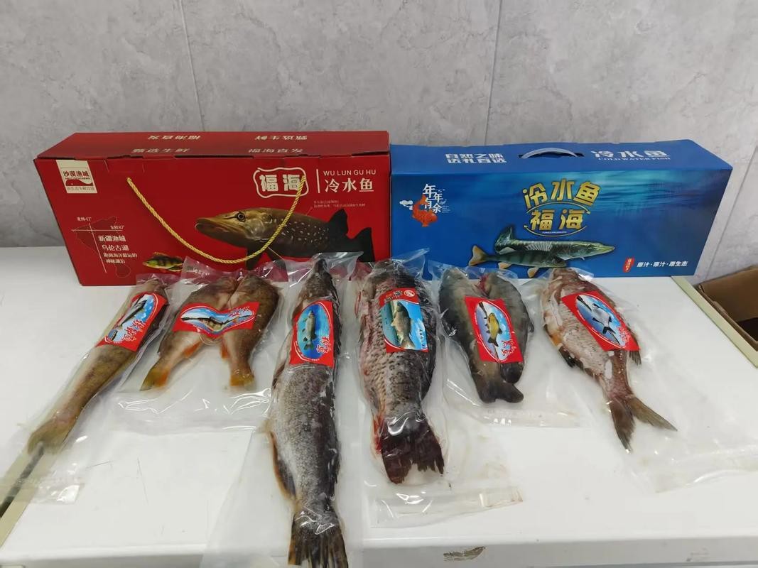 福海魚(yú)圖片及價(jià)格|新疆福海冬捕節(jié)頭魚(yú)拍賣價(jià)刷新歷史新高
