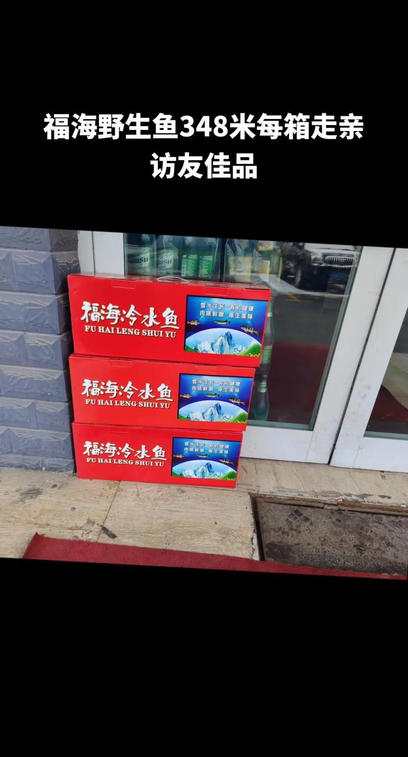 福海魚(yú)圖片及價(jià)格|新疆福海冬捕節(jié)頭魚(yú)拍賣價(jià)刷新歷史新高