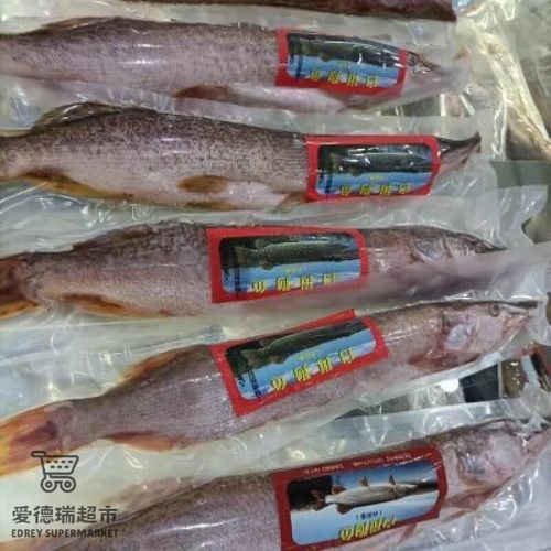 福海魚(yú)圖片及價(jià)格|新疆福海冬捕節(jié)頭魚(yú)拍賣價(jià)刷新歷史新高