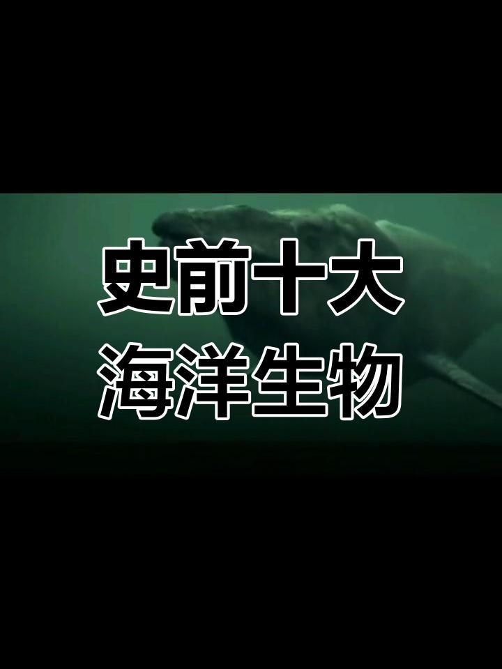 克柔龍和滄龍的區別|克柔龍與滄龍的較量