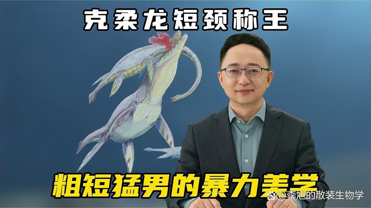 克柔龍和滄龍的區別|克柔龍與滄龍的較量