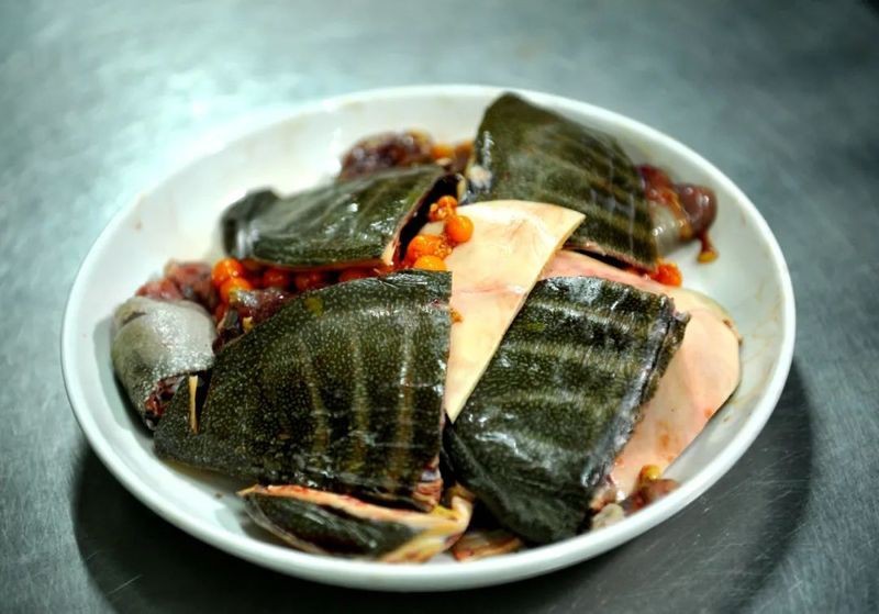 黃石龍魚店|湖北黃石市小宋水族館丨20周年煥新回歸