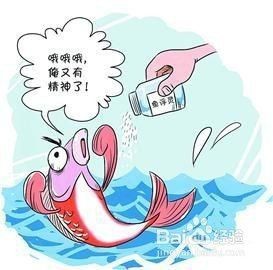 讓魚缺氧上浮藥魚浮頭藥|讓魚缺氧上浮藥即魚浮頭藥（如魚浮靈）的綜合分析