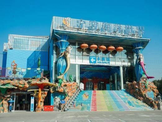鄞州水族店|如何在海洋世界拍出驚艷大片秘訣