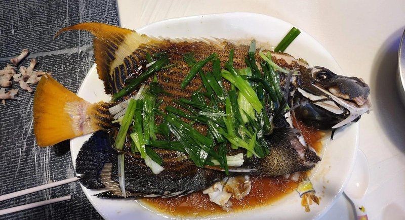 皇帝魚屬于什么檔次|皇帝魚不愧是淡水魚天花板