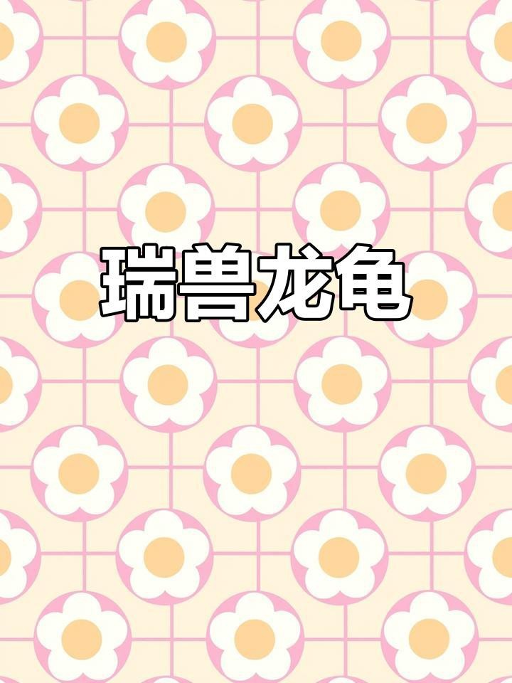 龍龜材質選擇有何講究？|《龍龜》龍龜手鏈怎么選虔誠還鮮美的小高山r怎么選