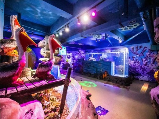 玄武水族店|南京海底世界攜程旅行玄武水族店哪家口碑最好 玄武水族店|南京海底世界攜程旅行玄武水族店哪家口碑最好 全國水族館企業名錄 第3張