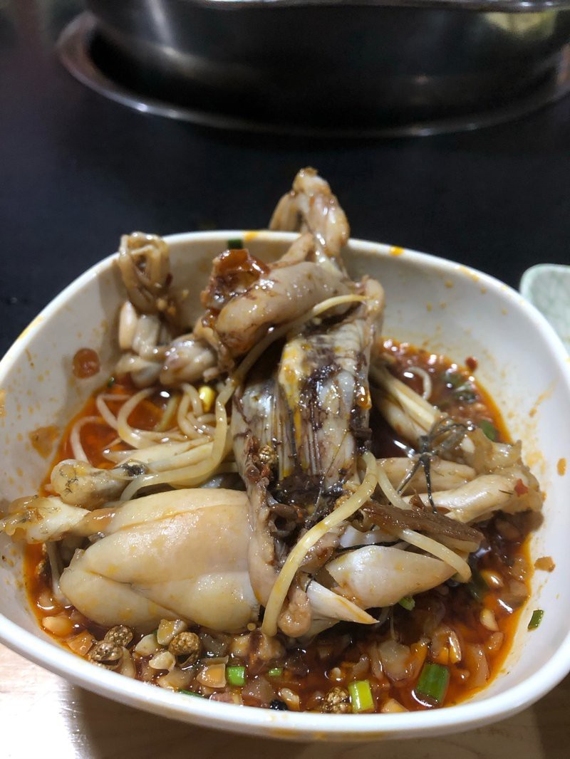 蓬安龍魚店|幾家蓬安的龍魚店