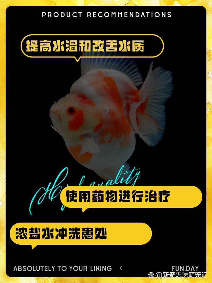 頂紅金魚頭瘤潰爛怎么辦|智能模式回答完成調用工具：百度健康