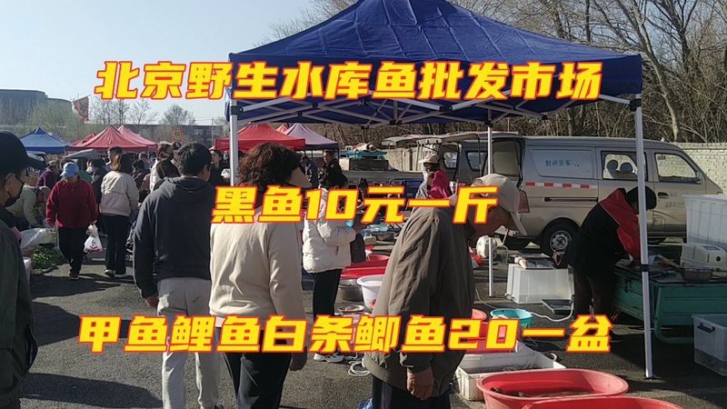 附近批發(fā)活魚(yú)|《附近活魚(yú)批發(fā)業(yè)態(tài)正成為新零售時(shí)代的新零售時(shí)代的特色樣本56
