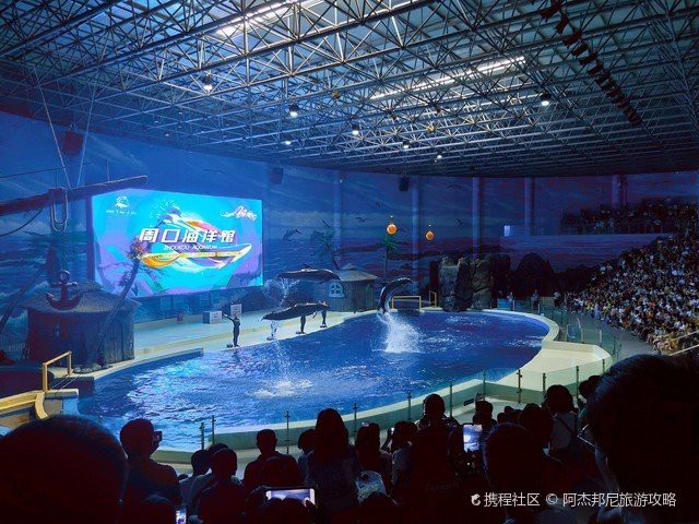 項城水族店|周口海洋館體驗攜程旅行項城哪家水族店口碑最好