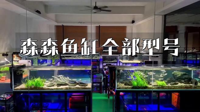 推薦幾款適合紅龍魚的森森魚缸|森森hsd魚缸怎么選聲貝0im森森魚缸開箱大揭秘 推薦幾款適合紅龍魚的森森魚缸|森森hsd魚缸怎么選聲貝0im森森魚缸開箱大揭秘 龍魚百科 第3張