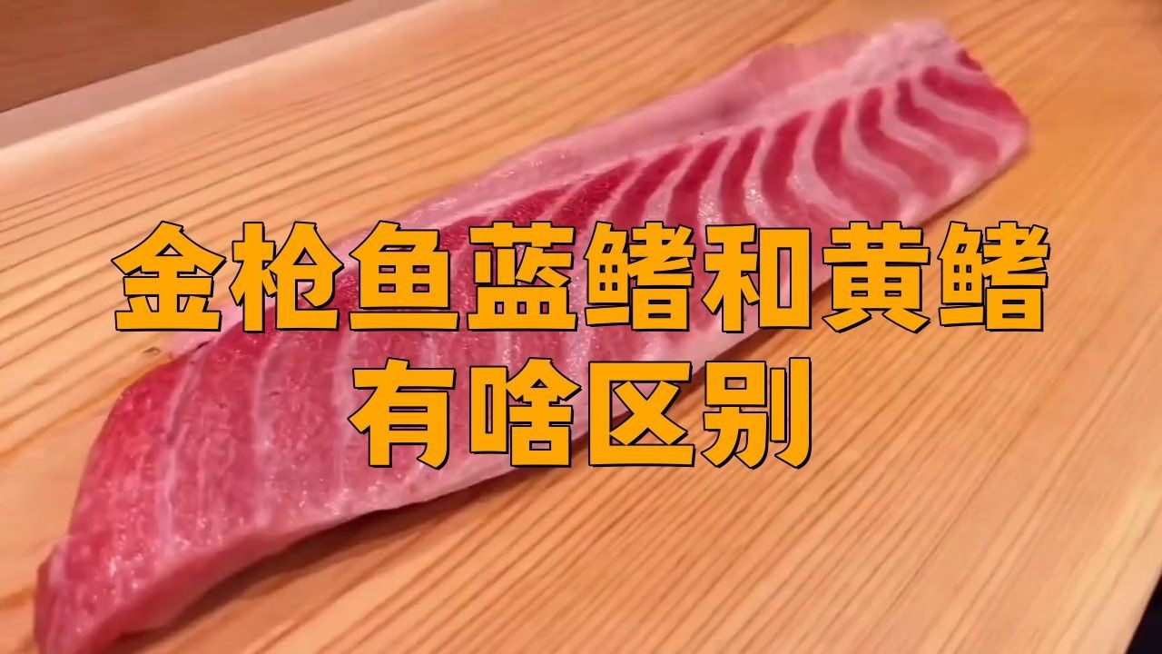 藍(lán)鰭金槍魚好還是黃鰭金槍魚好|藍(lán)鰭金槍魚與黃鰭金槍魚有啥區(qū)別藍(lán)鰭和黃鰭有啥區(qū)別