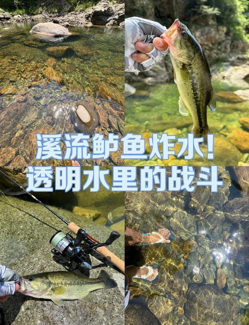 水面炸水一般是什么魚|《水面炸水一般是什么魚》