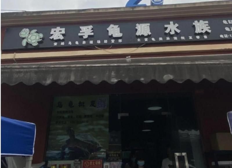 重慶水族店【2020年重慶水族市場(chǎng)走走逛_造景裝飾_什么值得買】