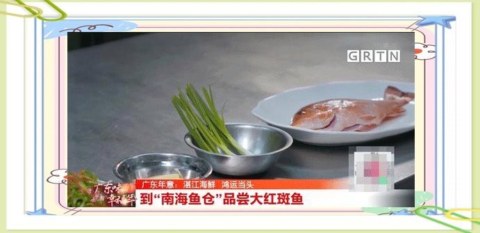 深海魚有哪些？|深海魚的奧秘與海洋價值共處的深海魚的奧秘與海洋價值
