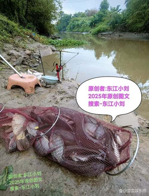 龍魚頭朝向示意圖|《龍魚頭朝向示意圖》
