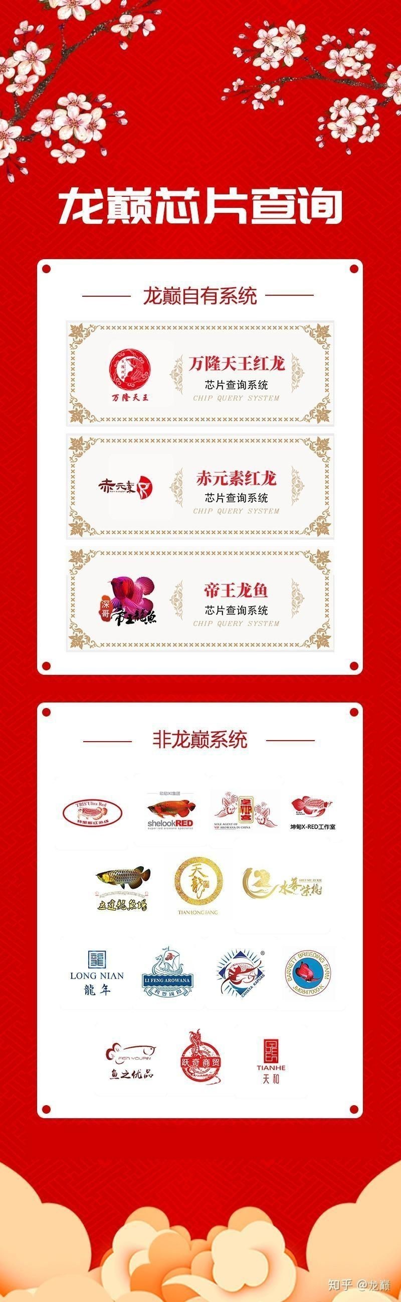 龍魚的芯片怎么查詢|——龍巔芯片查詢功能上線