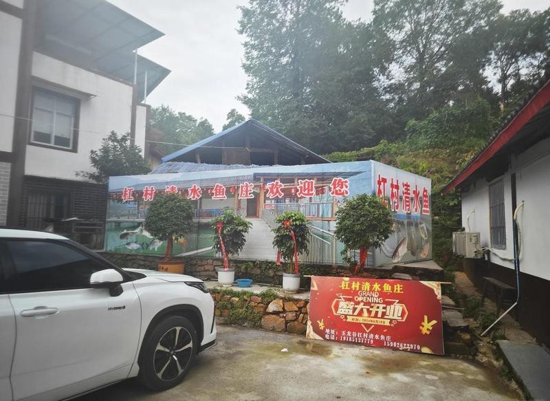 道真龍魚店|貴州遵義道真龍魚店