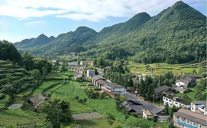 道真龍魚店|貴州遵義道真龍魚店
