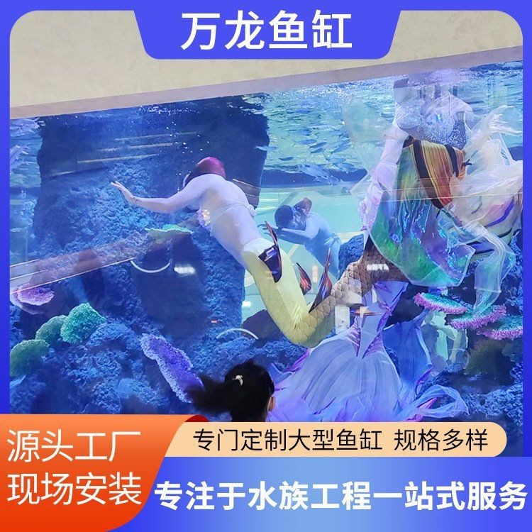 美人魚魚缸大型|《美人魚魚缸大型》
