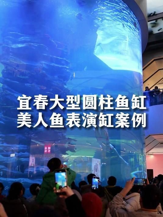 美人魚魚缸大型|《美人魚魚缸大型》