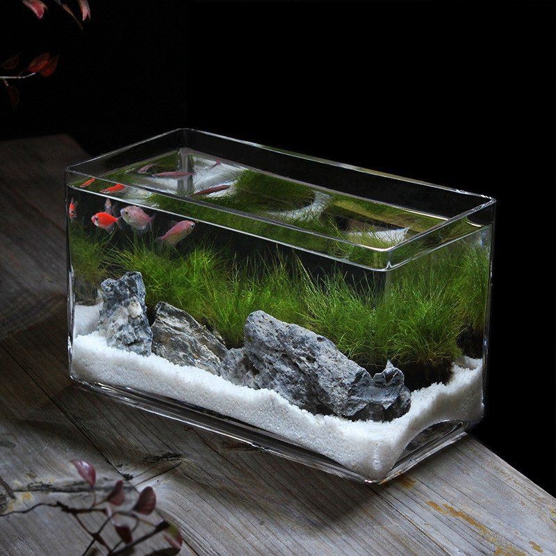美人魚魚缸大型|《美人魚魚缸大型》