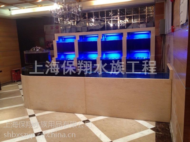 公主嶺龍魚店 公主嶺龍魚店 全國水族館企業名錄 第3張