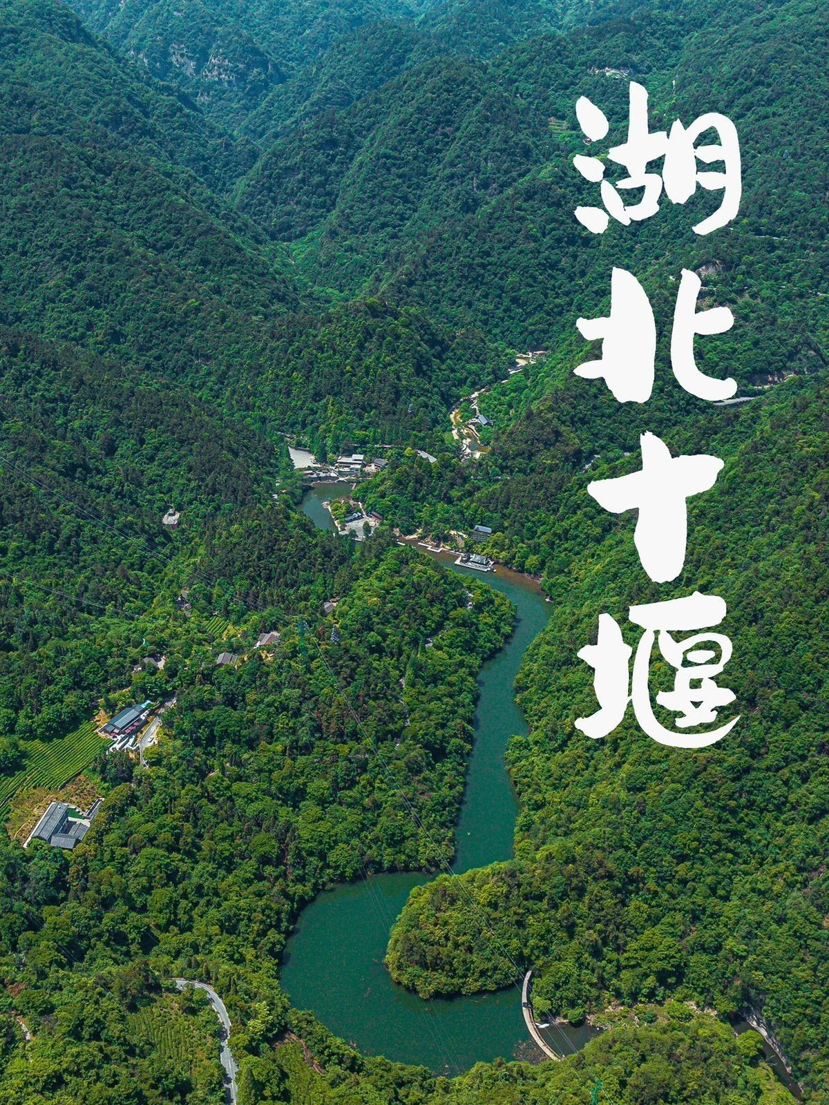 茅箭龍魚店|新湖南茅箭區哪家烤魚店口碑最好李二鮮魚村口碑最好