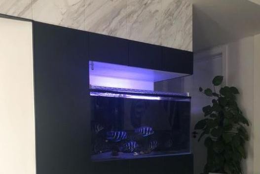 龍魚起鱗片是怎么回事？原因分析與防治方法，龍魚鱗片異常原因及防治方法解析